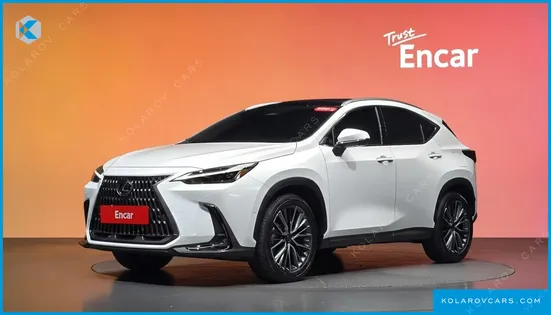 LEXUS NX LUXURY