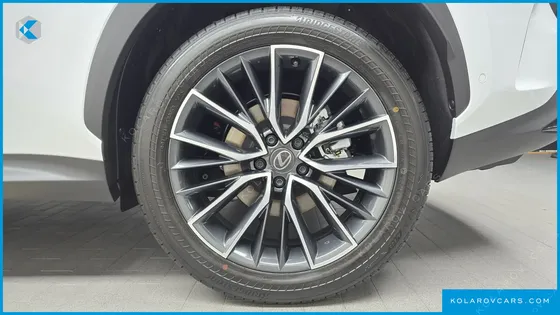 LEXUS NX LUXURY