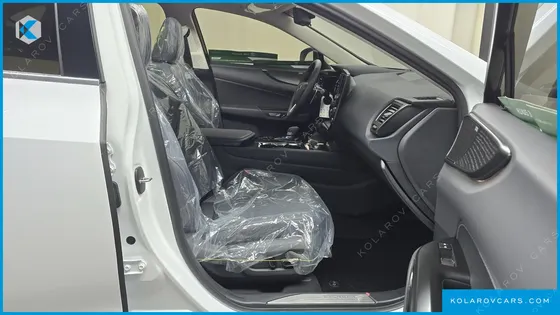 LEXUS NX LUXURY