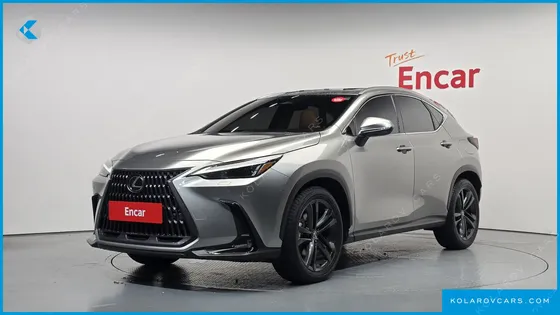 LEXUS NX PREMIUM