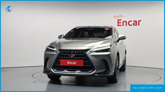 LEXUS NX PREMIUM