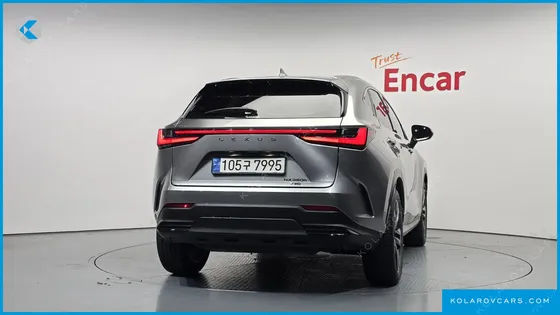 LEXUS NX PREMIUM