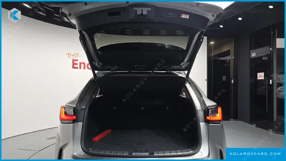 LEXUS NX PREMIUM