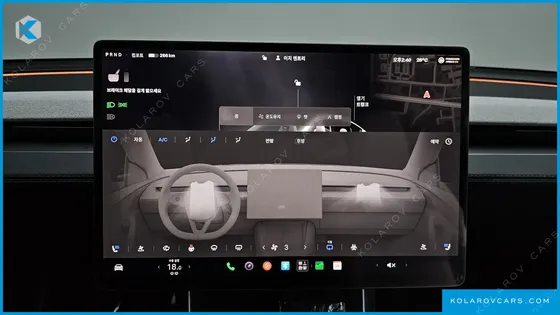 TESLA MODEL Y RWD