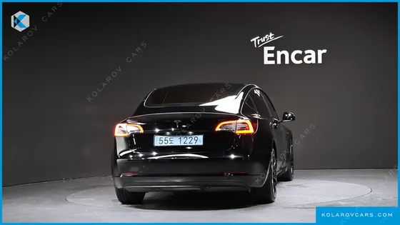 TESLA MODEL 3 PERFORMANCE AWD
