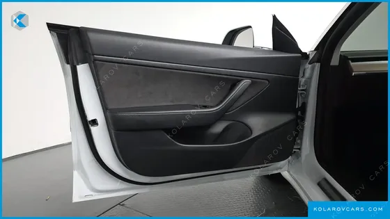 TESLA MODEL 3 STANDARD RANGE PLUE RWD