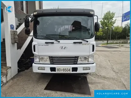 HYUNDAI MEGA TRUCK GOLD