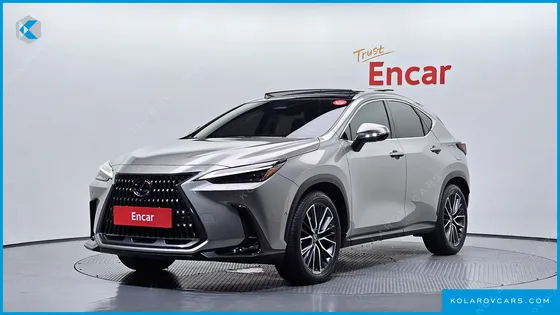 LEXUS NX LUXURY