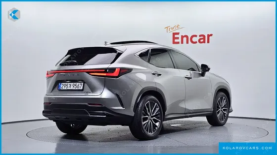 LEXUS NX LUXURY