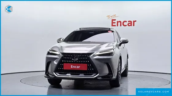 LEXUS NX LUXURY