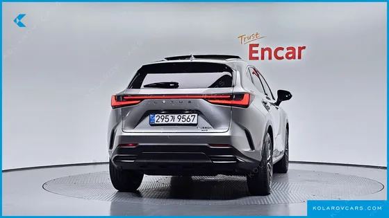 LEXUS NX LUXURY