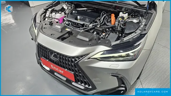 LEXUS NX LUXURY