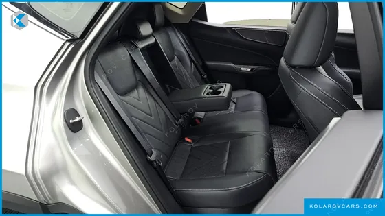 LEXUS NX LUXURY