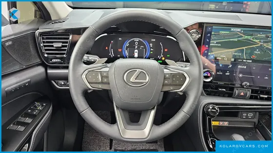 LEXUS NX LUXURY