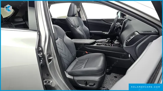 LEXUS NX LUXURY