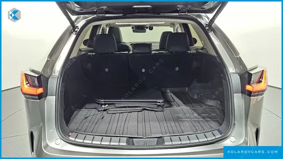LEXUS NX LUXURY