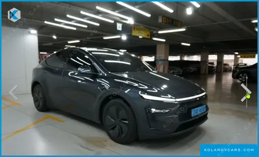 TESLA MODEL Y LONG RANGE AWD