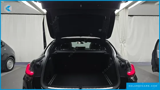 BMW X4 XDRIVE20I M SPORTS PRO