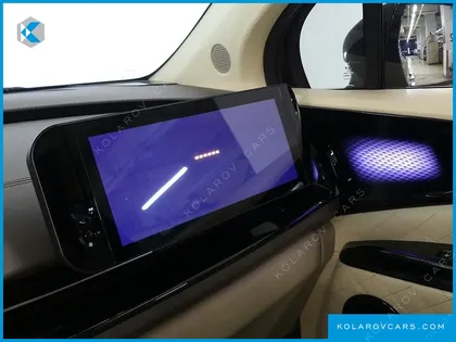 KIA CARNIVAL GASOLINE 9-SEATER LIMOUSINE(SPECIAL VEHICLE)