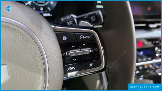 KIA CARNIVAL DIESEL 9-SEATER SIGNATURE