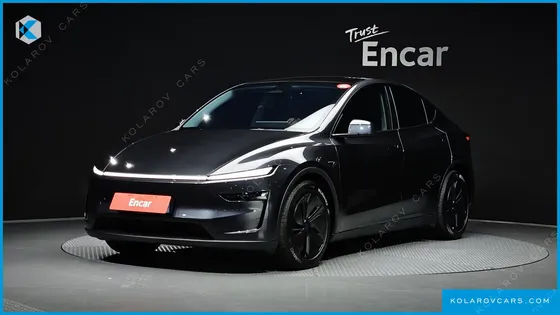 TESLA MODEL Y LONG RANGE AWD