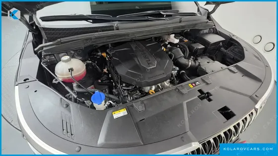 KIA CARNIVAL DIESEL 7-SEATER HI-LIMOUSINE