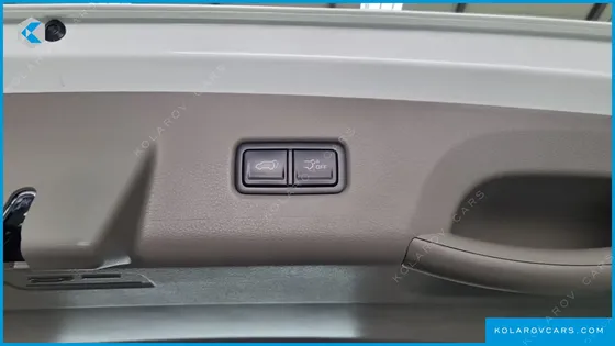 KIA CARNIVAL HEV 9SEATER SIGNATURE