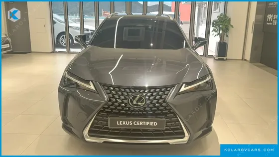 LEXUS UX 2.0 2WD