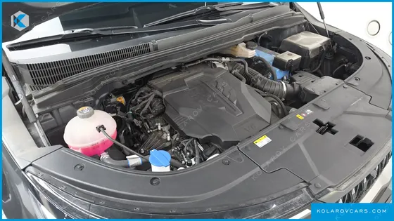 KIA CARNIVAL GASOLINE 7-SEATER OUTDOOR