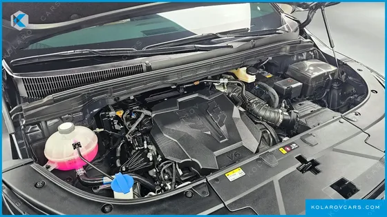 KIA CARNIVAL GASOLINE 4-SEATER HI LIMOUSINE