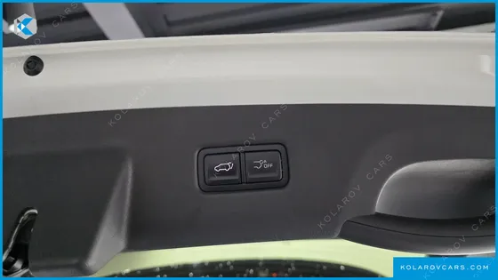 KIA CARNIVAL GASOLINE 9-SEATER GRAVITY