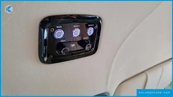 KIA CARNIVAL GASOLINE 9-SEATER HI LIMOUSINE (7-SEATER LIMOUSINE(SPECIAL VEHICLE)