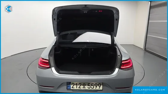 MERCEDES CLS-CLASS CLS300D 4MATIC