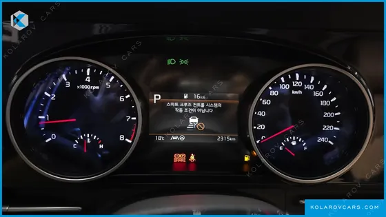 KIA CARNIVAL GASOLINE 9-SEATER NOBLESSE