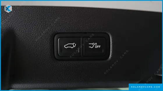 KIA CARNIVAL GASOLINE 9-SEATER NOBLESSE