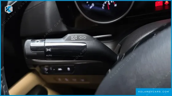 KIA CARNIVAL GASOLINE 9-SEATER NOBLESSE