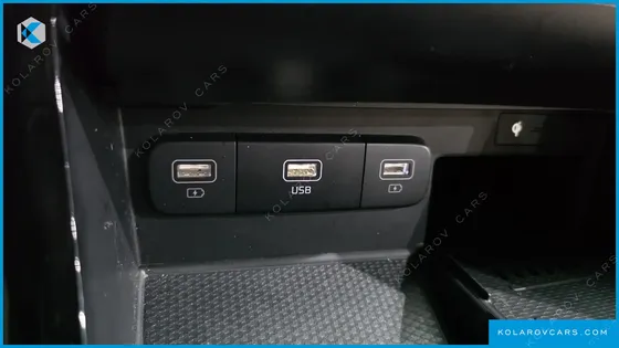 KIA CARNIVAL GASOLINE 9-SEATER LIMOUSINE(SPECIAL VEHICLE)