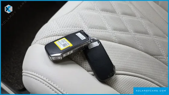 KIA CARNIVAL GASOLINE 9-SEATER LIMOUSINE(SPECIAL VEHICLE)