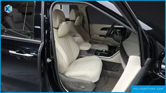 KIA CARNIVAL GASOLINE 9-SEATER LIMOUSINE(SPECIAL VEHICLE)