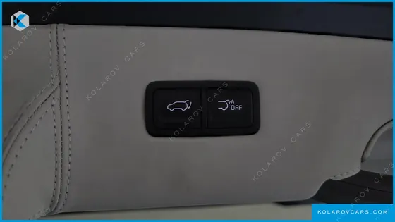 KIA CARNIVAL GASOLINE 9-SEATER LIMOUSINE(SPECIAL VEHICLE)
