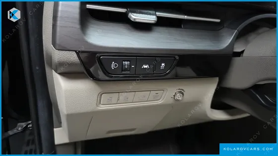 KIA CARNIVAL GASOLINE 9-SEATER LIMOUSINE(SPECIAL VEHICLE)