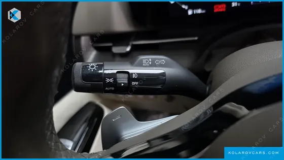 KIA CARNIVAL GASOLINE 9-SEATER LIMOUSINE(SPECIAL VEHICLE)