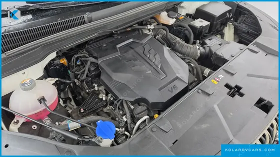 KIA CARNIVAL GASOLINE 9-SEATER HI-LIMOUSINE