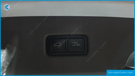 KIA CARNIVAL GASOLINE 9-SEATER HI-LIMOUSINE