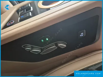 KIA CARNIVAL DIESEL 9-SEATER HI-LIMOUSINE(SPECIAL VEHICLE)