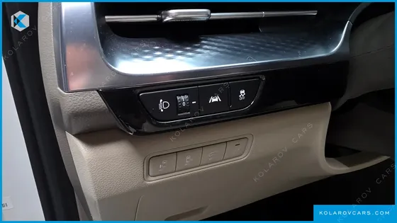 KIA CARNIVAL DIESEL 9-SEATER HI-LIMOUSINE