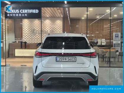 LEXUS RX LUXURY
