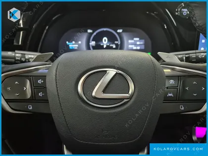 LEXUS RX LUXURY
