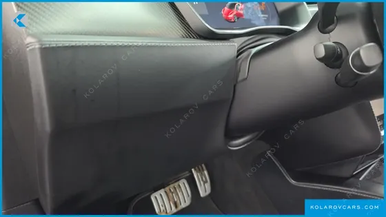 TESLA MODEL S P100D
