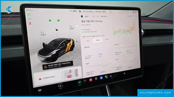 TESLA MODEL Y RWD